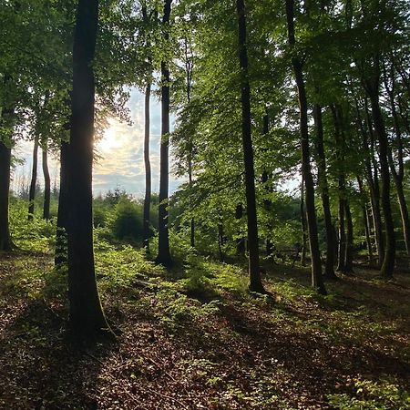 Fruehstueckspension Zur Krone Bad Endbach Εξωτερικό φωτογραφία